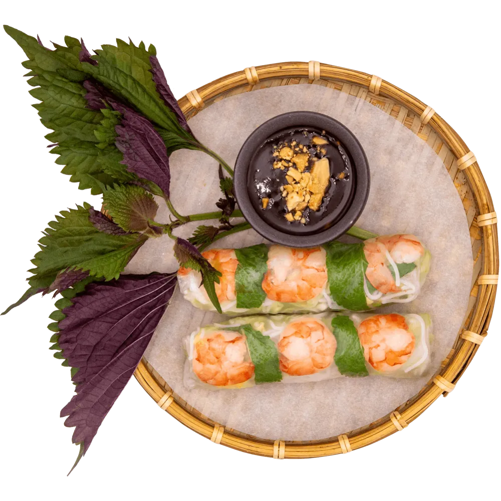 saigon-food-freisteller-topshot-1.png